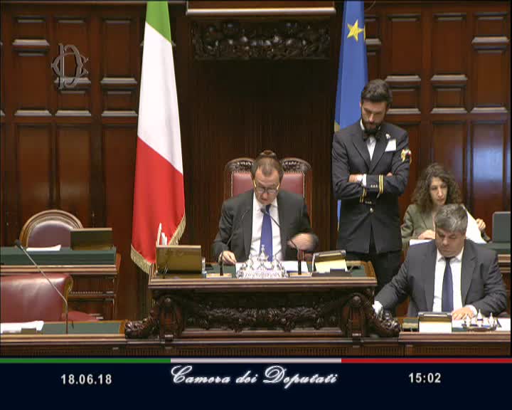 Segui la diretta AULA, Seduta 16 -  Discussione generale del decreto legge Alitalia su webtv.camera.it