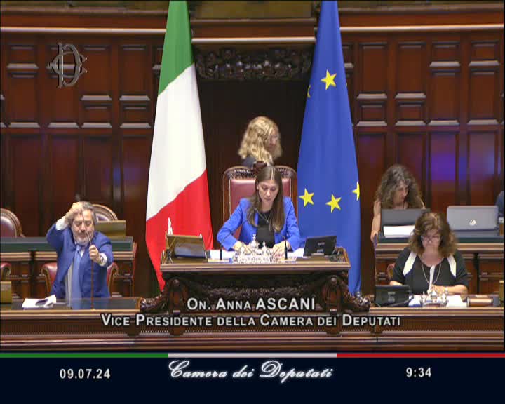 Segui la diretta AULA, Seduta 321 - Interrogazioni, decreto infrastrutture, disegno di legge modifiche al codice penale e all'ordinamento giudiziario su webtv.camera.it