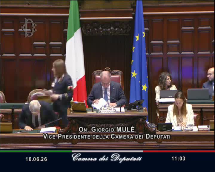 Segui la diretta AULA, Seduta 676 - Decreto rimpatri, approvazione definitiva su webtv.camera.it