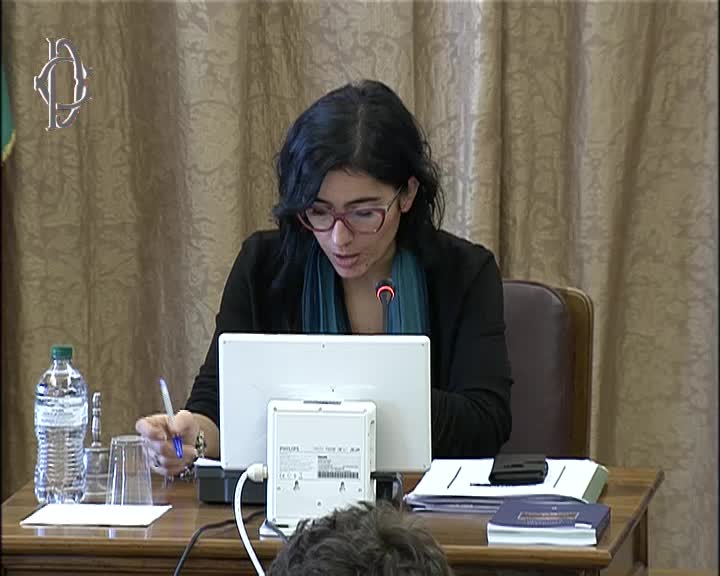 Segui la diretta Produzione normativa - Audizione professor Rivosecchi su webtv.camera.it