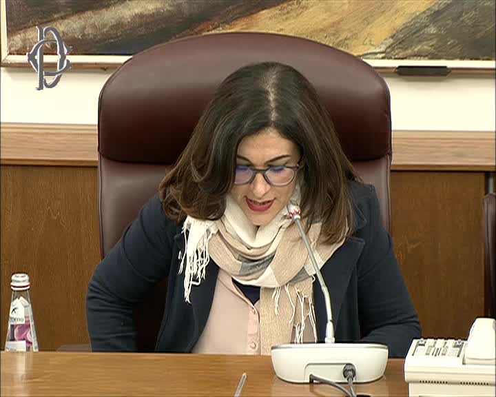 Segui la diretta Audizioni su fondi integrativi Ssn su webtv.camera.it