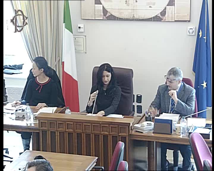 Segui la diretta Audizione Onu su tutela diritti umani su webtv.camera.it