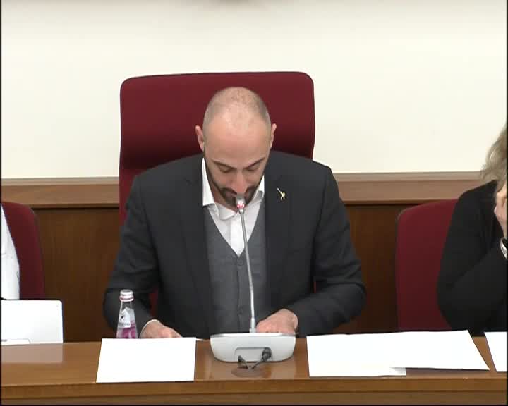 Segui la diretta Audizioni su vittime violenza domestica e di genere   su webtv.camera.it