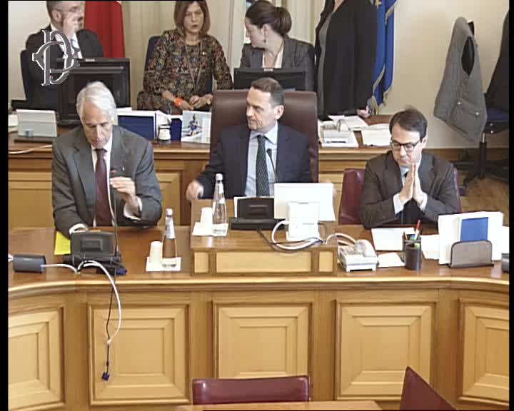 Segui la diretta Ordinamento sportivo, audizione Malagò su webtv.camera.it