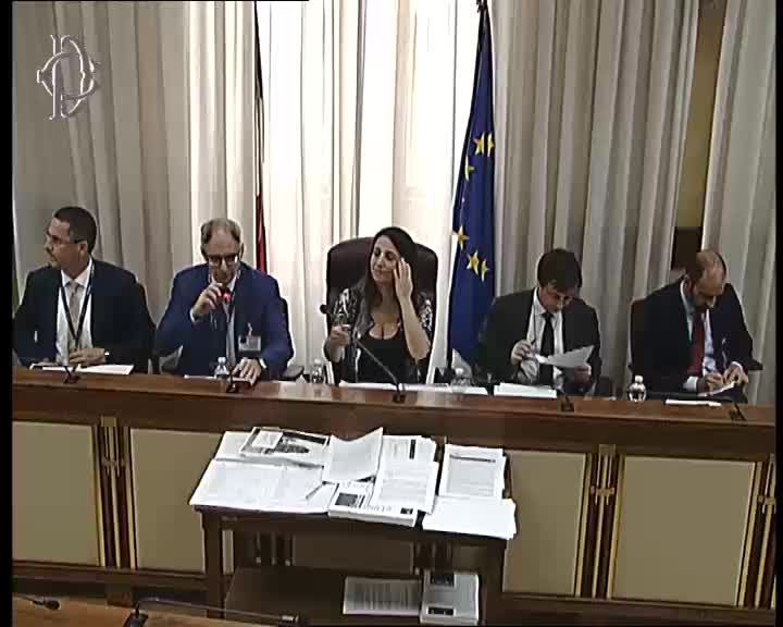 Segui la diretta Regionalismo differenziato, audizione Lezzi su webtv.camera.it