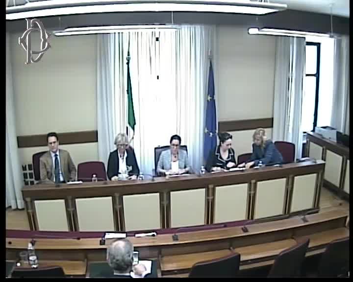 Segui la diretta Bullismo e cyberbullismo, audizione di esperti su webtv.camera.it