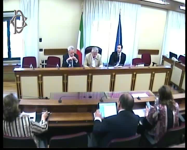 Segui la diretta Commissione antimafia, audizione del Garante dei detenuti, Palma su webtv.camera.it