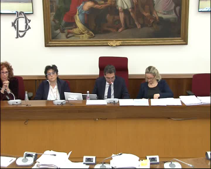 Segui la diretta  Audizioni su spese di giustizia su webtv.camera.it