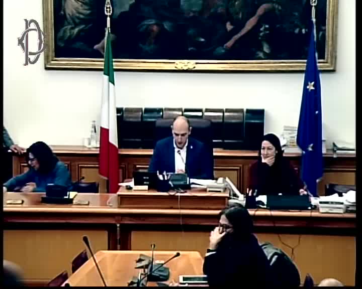 Segui la diretta Alitalia, audizione Ministra De Micheli  su webtv.camera.it