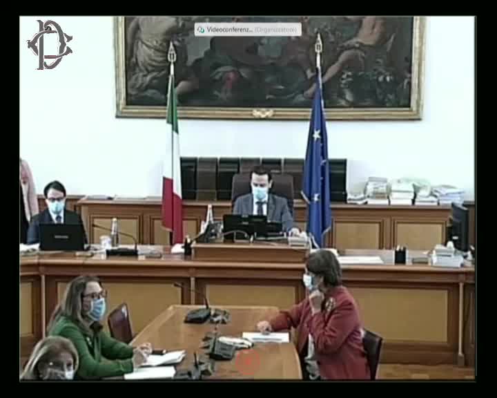 Segui la diretta Covid 19 e istruzione, audizione ministra Azzolina su webtv.camera.it