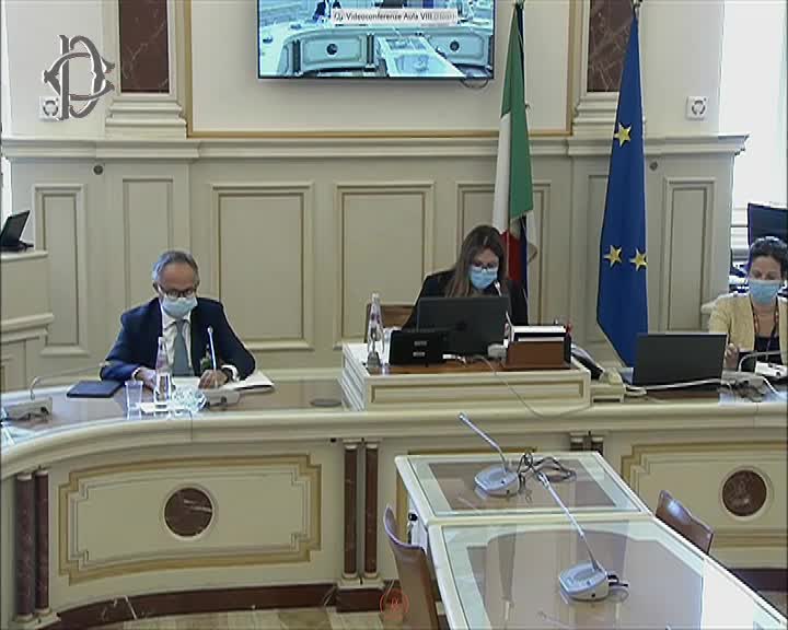Segui la diretta Audizioni su Commissione per italiani all'estero su webtv.camera.it