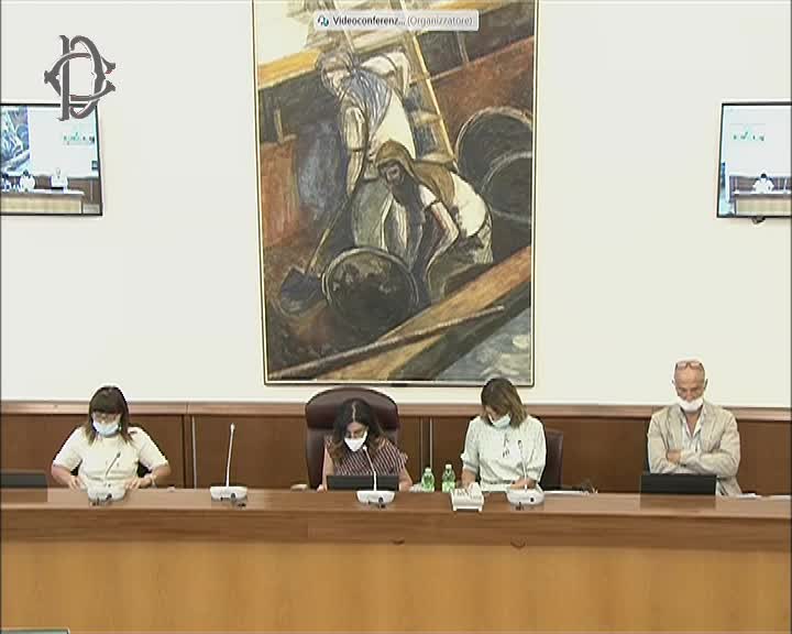 Segui la diretta Audizioni su situazione pazienti oncologici su webtv.camera.it