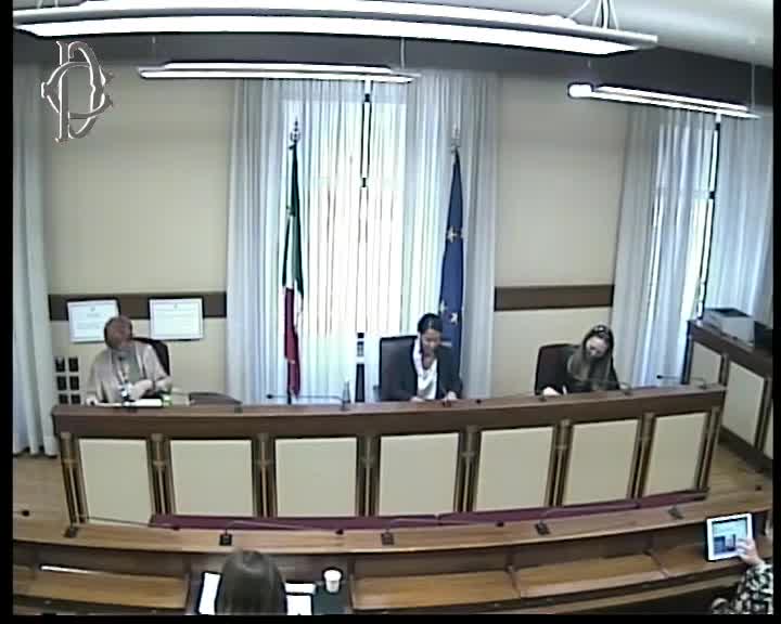 Segui la diretta ​Audizione su violenza ai danni di minori  su webtv.camera.it