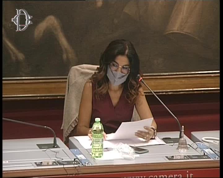 Segui la diretta Recovery Fund, audizione Ministro Speranza su webtv.camera.it