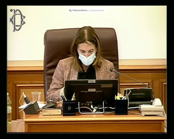 Segui la diretta Audizioni Caio e Lazzerini su Italia trasporto aereo su webtv.camera.it