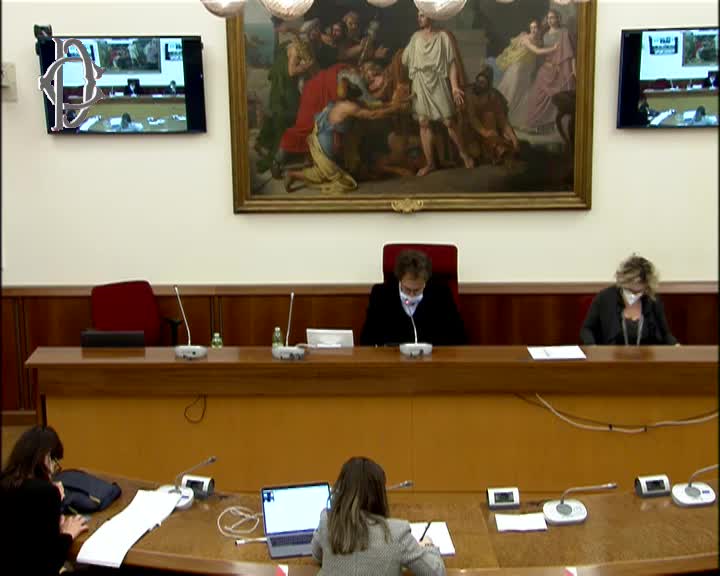 Segui la diretta Accesso alla professione forense, audizioni di associazioni di settore su webtv.camera.it