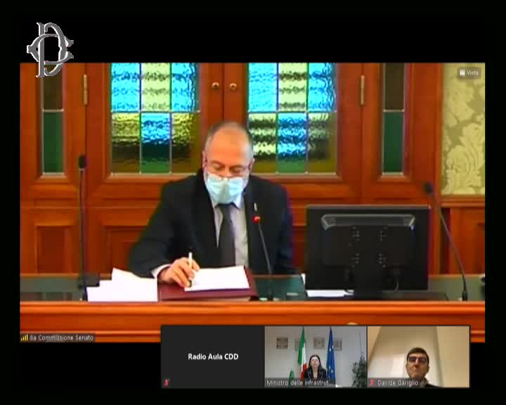 Segui la diretta Torino - Lione, audizione Ministra De Micheli su webtv.camera.it
