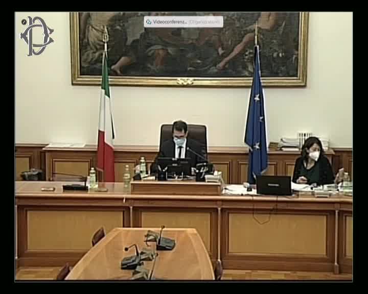 Segui la diretta Audizioni su volo da diporto o sportivo su webtv.camera.it