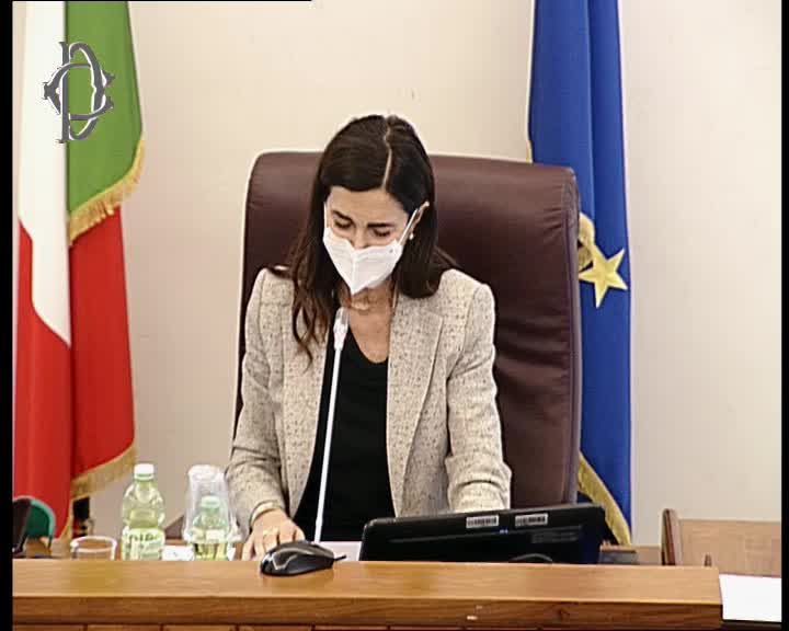 Segui la diretta Tutela diritti umani, audizione Comunità Giovanni XXIII  su webtv.camera.it