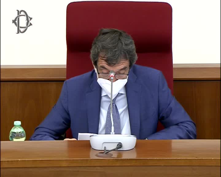 Segui la diretta Audizioni su affidamento minori su webtv.camera.it