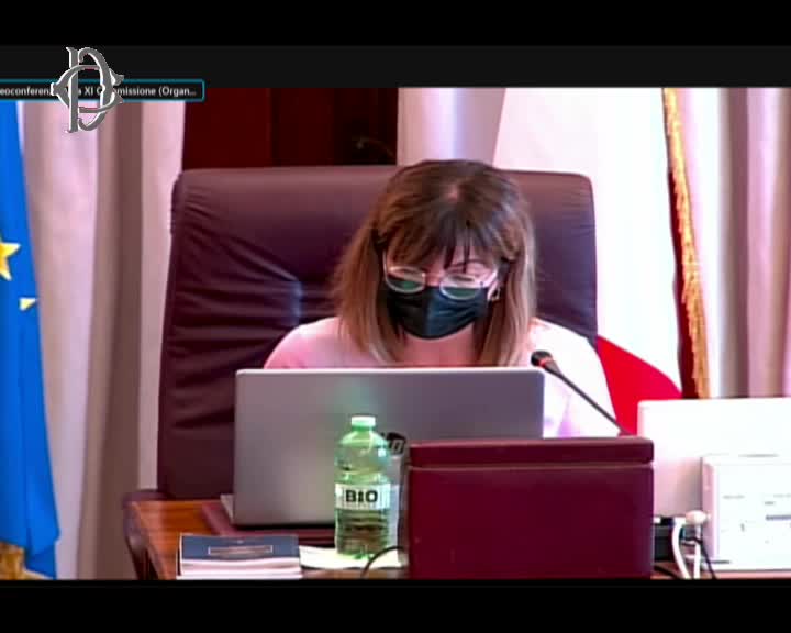 Segui la diretta ​Pandemia e disuguaglianze nel mondo del lavoro, audizione commercialisti  su webtv.camera.it