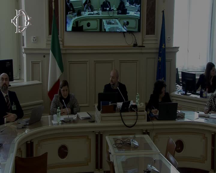 Segui la diretta Audizioni su imballaggi e rifiuti su webtv.camera.it