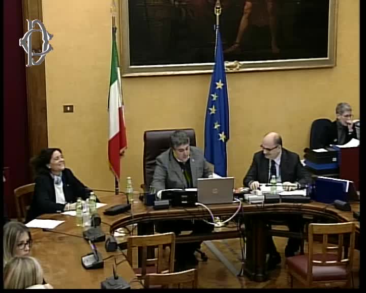 Segui la diretta Europa dei risultati e diritto Ue, audizione Palmieri Sandulli, Avvocato generale dello Stato su webtv.camera.it