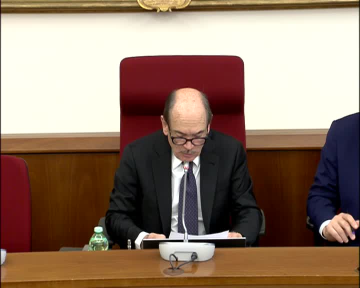 Segui la diretta Audizioni su reato maternità surrogata su webtv.camera.it