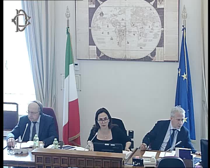 Segui la diretta Ucraina, audizione Rete parlamentare globale (italiano) su webtv.camera.it