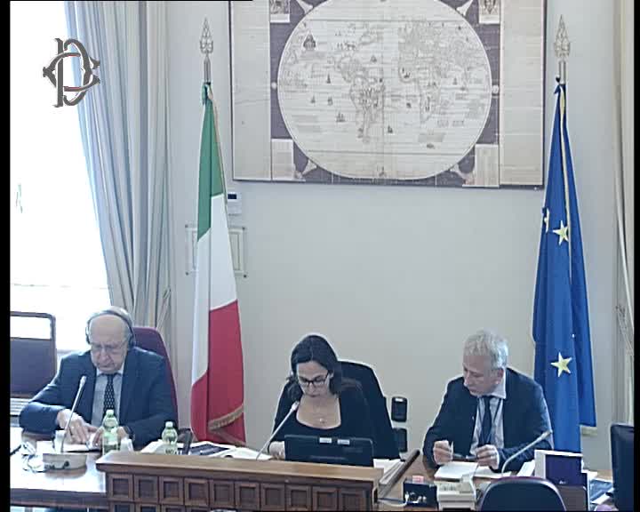 Segui la diretta Ucraina, audizione Rete parlamentare globale (english) su webtv.camera.it