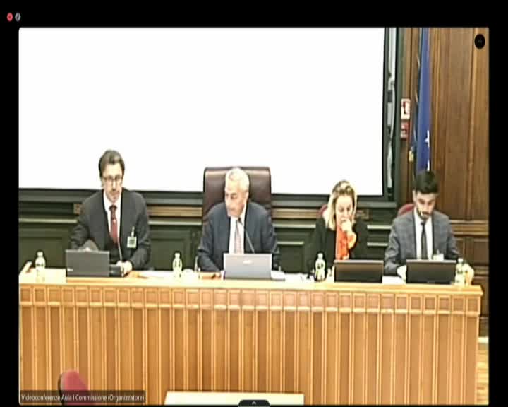 Segui la diretta Audizioni su rappresentanza di interessi su webtv.camera.it