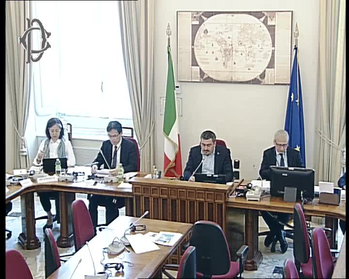 Segui la diretta Audizioni su attività militari in Corea del Nord su webtv.camera.it