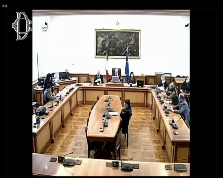 Segui la diretta Commissione Trasporti, interrogazioni a risposta immediata su webtv.camera.it