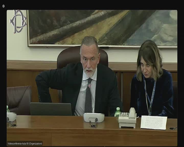 Segui la diretta Audizioni su Commissione inchiesta Covid su webtv.camera.it