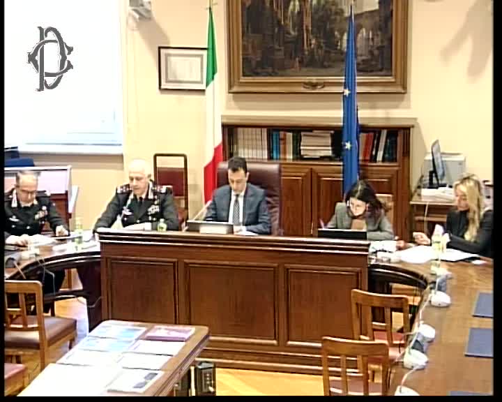 Segui la diretta Difesa, audizione Luzi, Comandante generale Carabinieri su webtv.camera.it