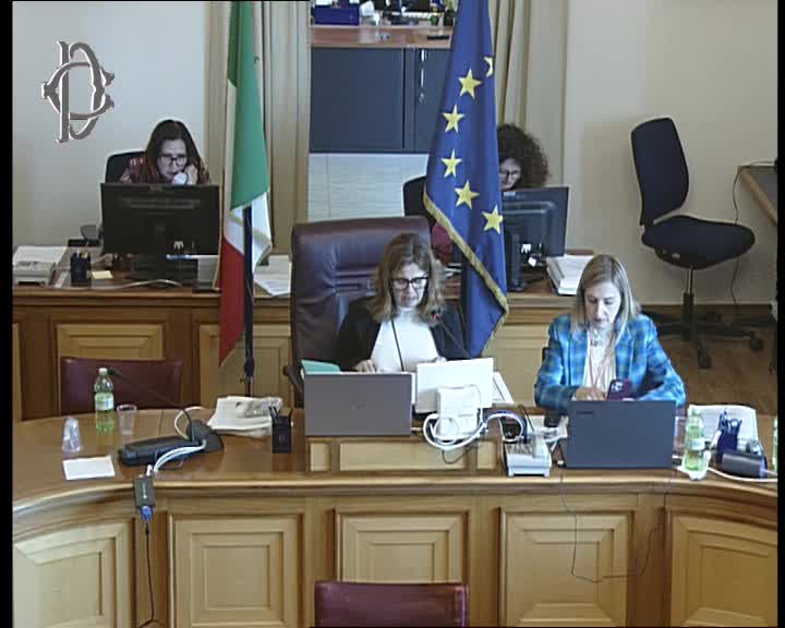 Segui la diretta Audizioni su professioni pedagogiche e istituzione albo professionale su webtv.camera.it
