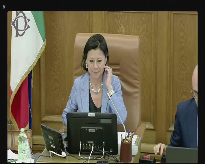 Segui la diretta Audizioni su piano strategico sviluppo turismo su webtv.camera.it