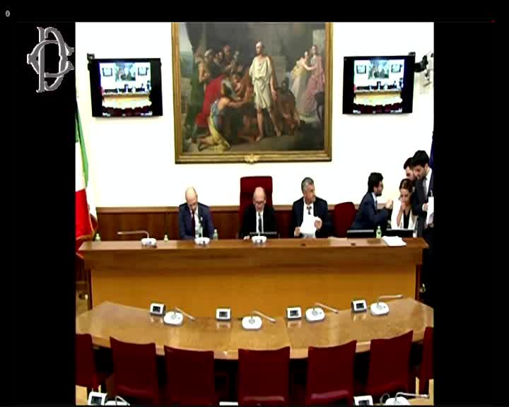 Segui la diretta Audizioni su disposizioni urgenti processo penale e recupero dalle tossicodipendenze su webtv.camera.it