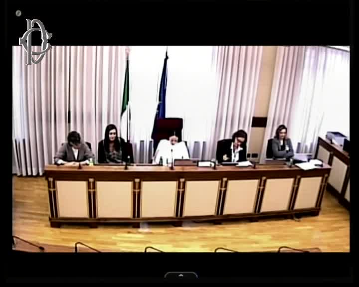 Segui la diretta Audizione Amnesty e ActionAid su webtv.camera.it