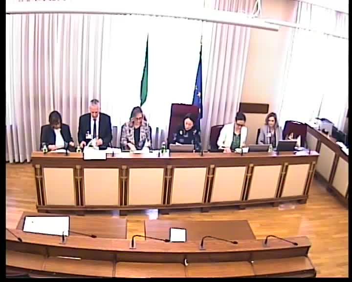 Segui la diretta Audizioni Menicucci, Pizzicannella, Fabrizio su webtv.camera.it